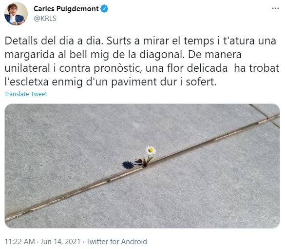 tuit puigdemont