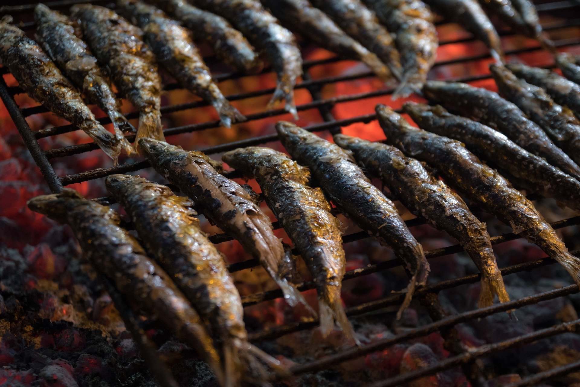 Las maldades del pescado azul