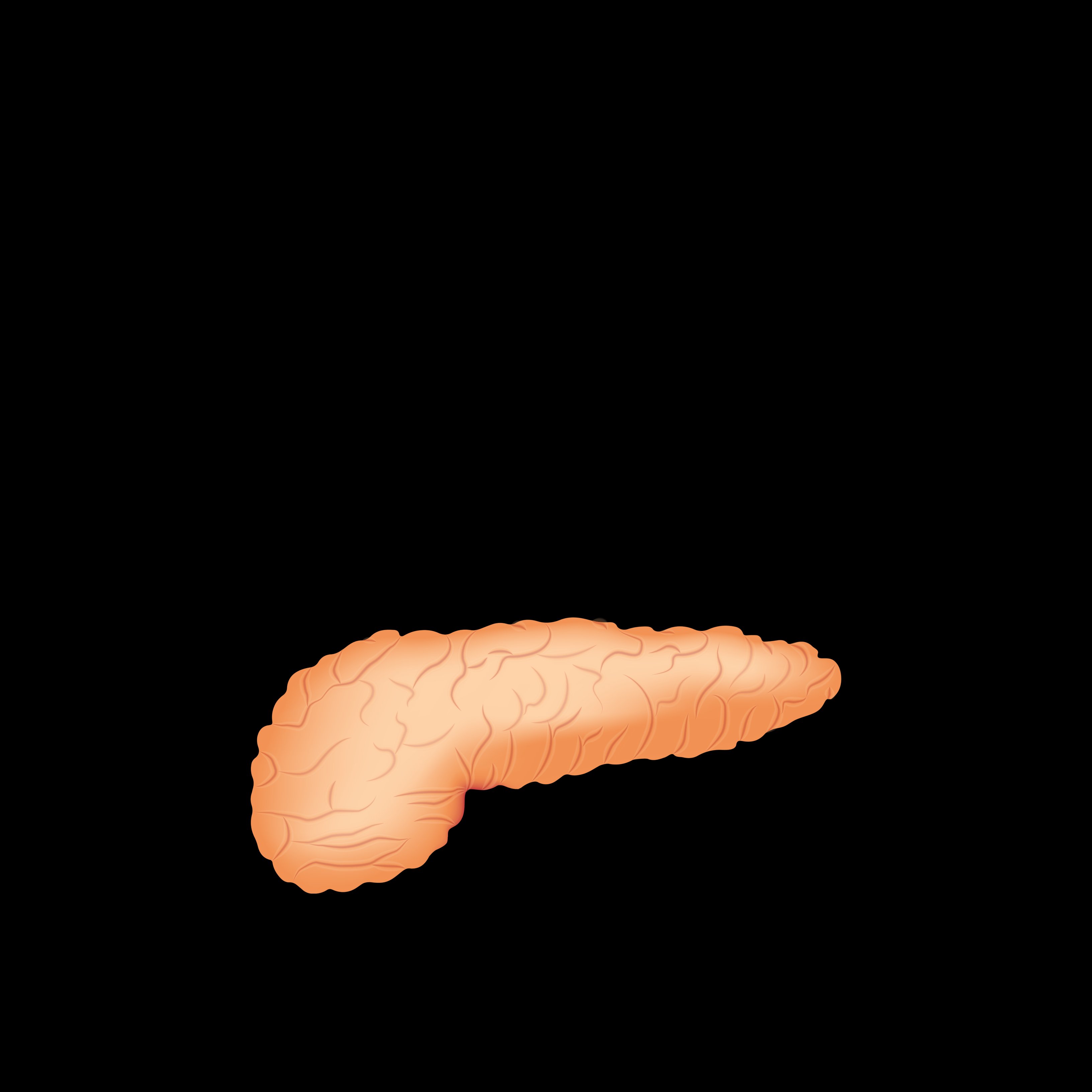 Un nou fàrmac contra el càncer de pàncrees