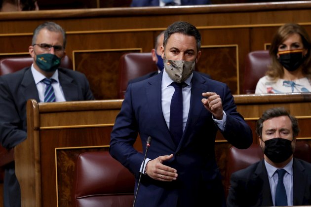 Santiago Abascal Congreso Diputados sesión de control Efe