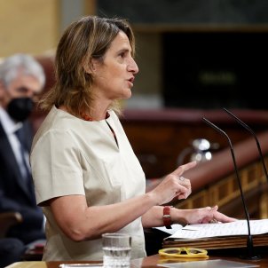 vicepresidenta cuarta Gobierno Teresa Ribera - Efe