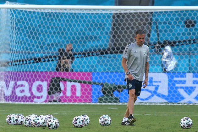 Luis Enrique España Eurocopa / Europa Press