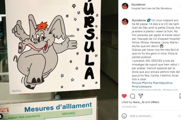 Perfil d'Instagram de Llucià Ferrer