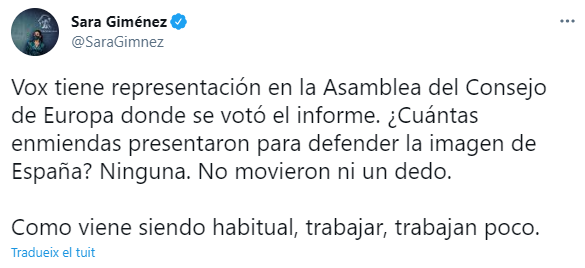 TUIT SARA GIMENEZ CONSEJO EUROPA