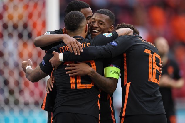 Georginio Wijnaldum celebra gol Paises Bajos EFE