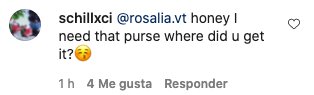 rosi bolso 6