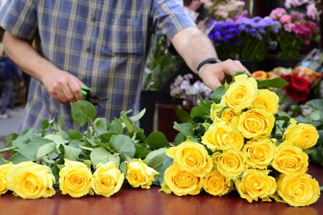 Roses Sant Jordi Laura Gómez