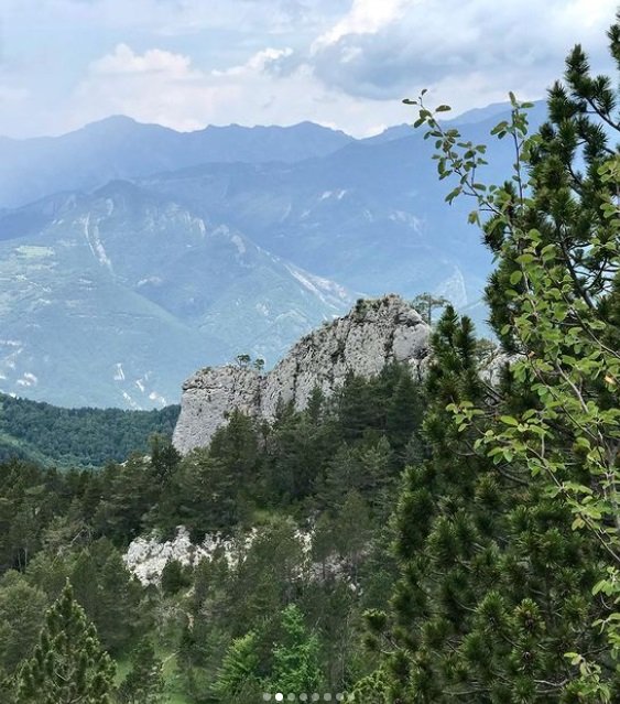 edelweiss2