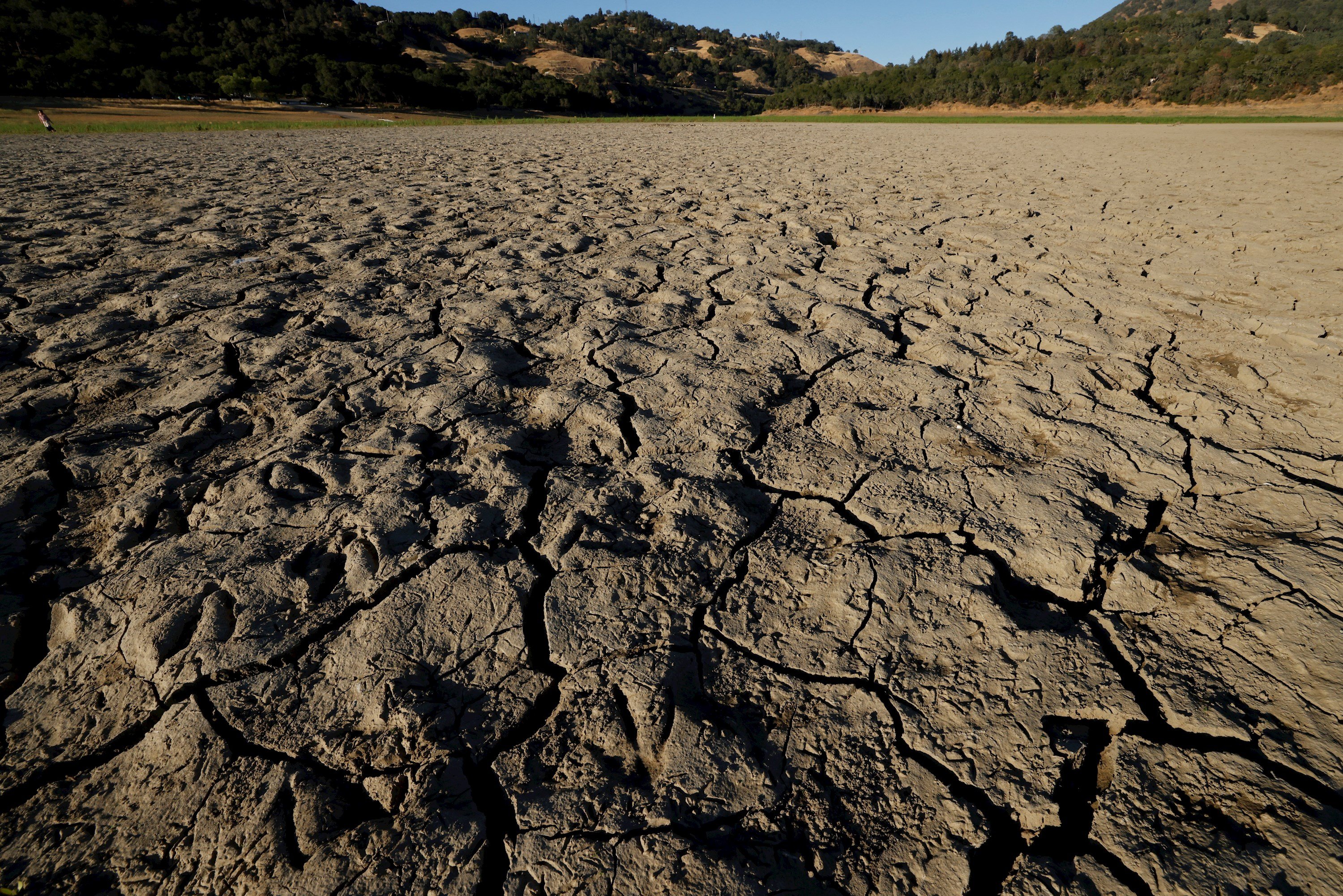 Una onada de calor sense precedents castiga la costa oest del Canadà i EUA