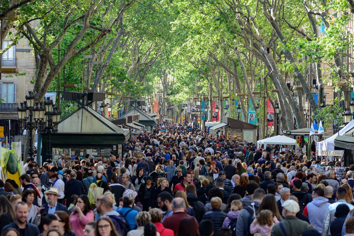 FOTOGALERIA: Sant Jordi en imatges