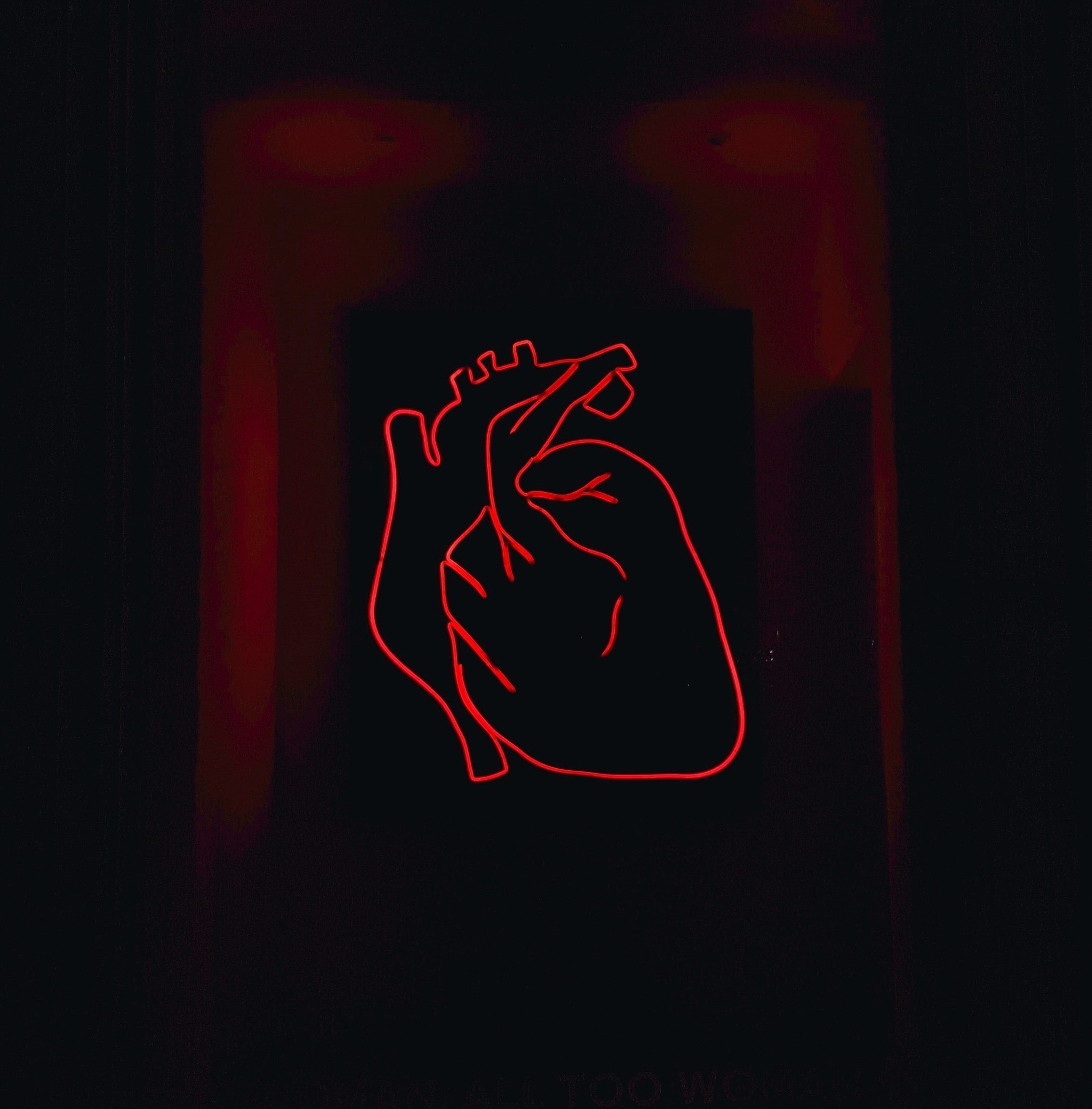 Tècniques i resultats de l'ablació de fibril·lació auricular