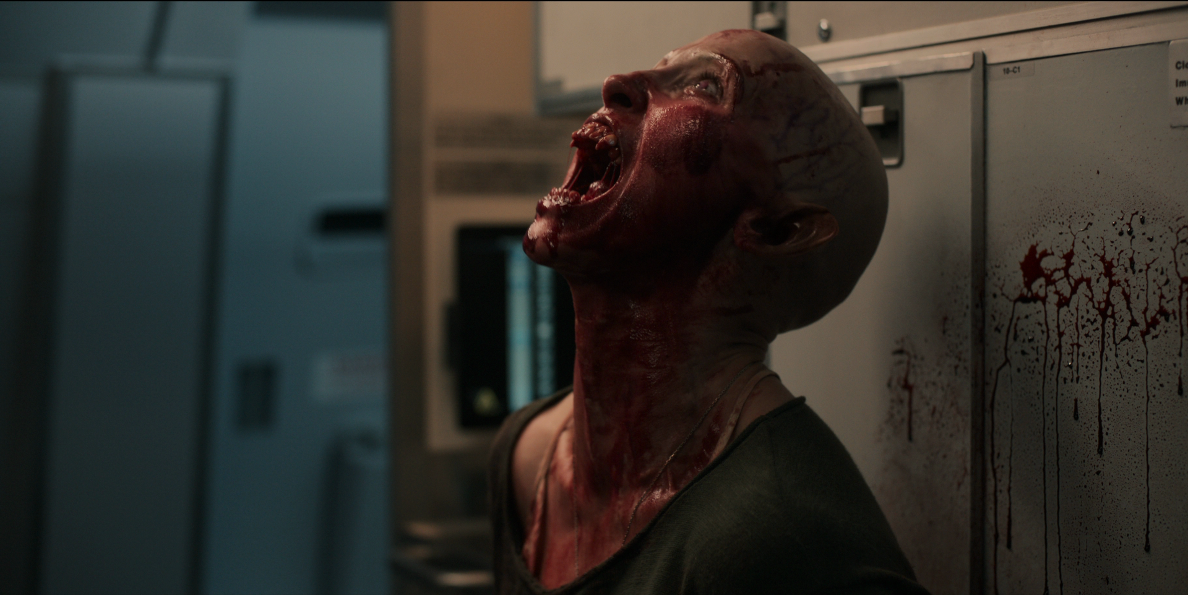 5 películas de terror Netflix para vivir un julio de miedo 5 películas de terror Netflix para vivir un julio de miedo