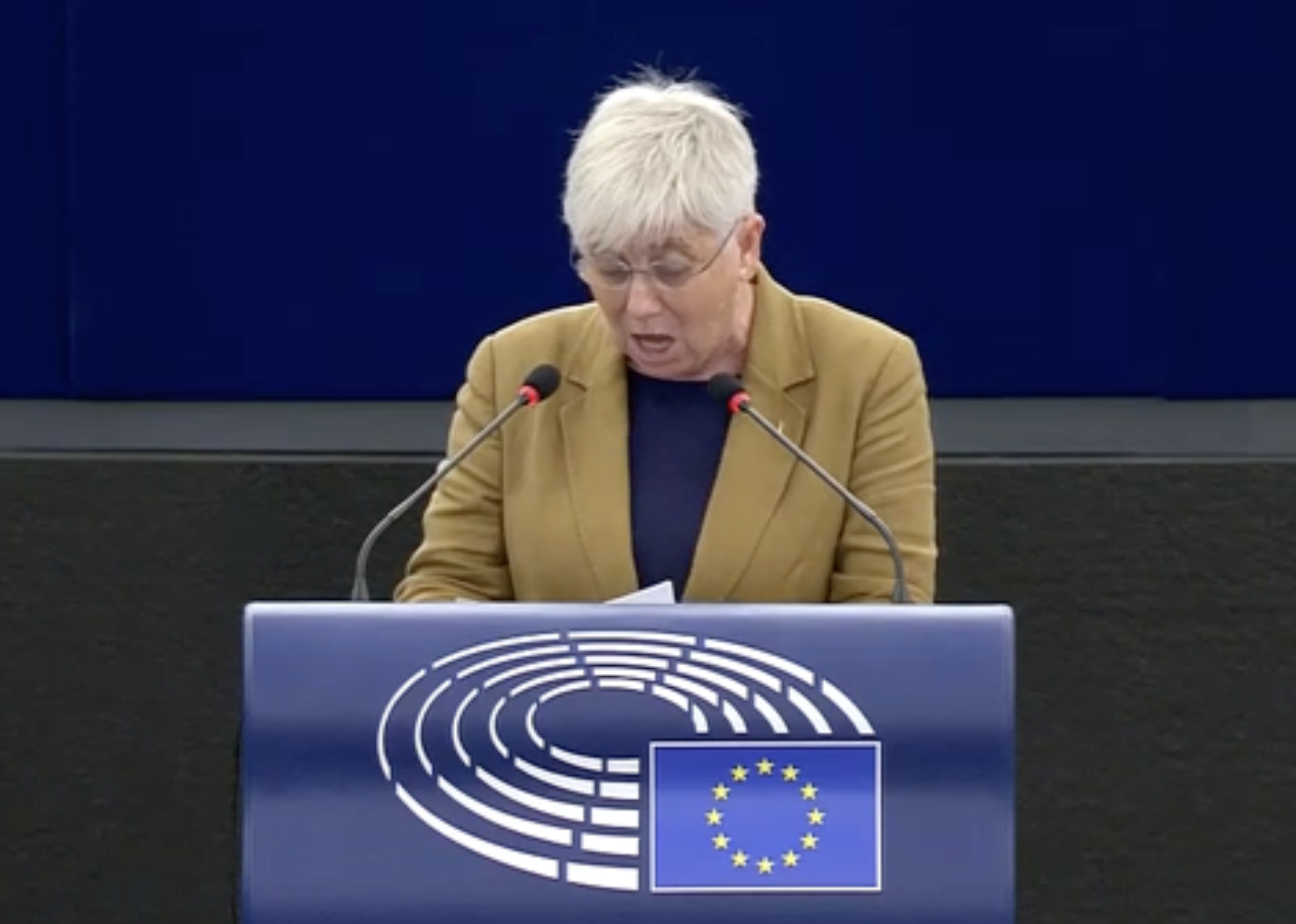 Aviso de Ponsatí en la Eurocámara: "Que no les engañen con los indultos"