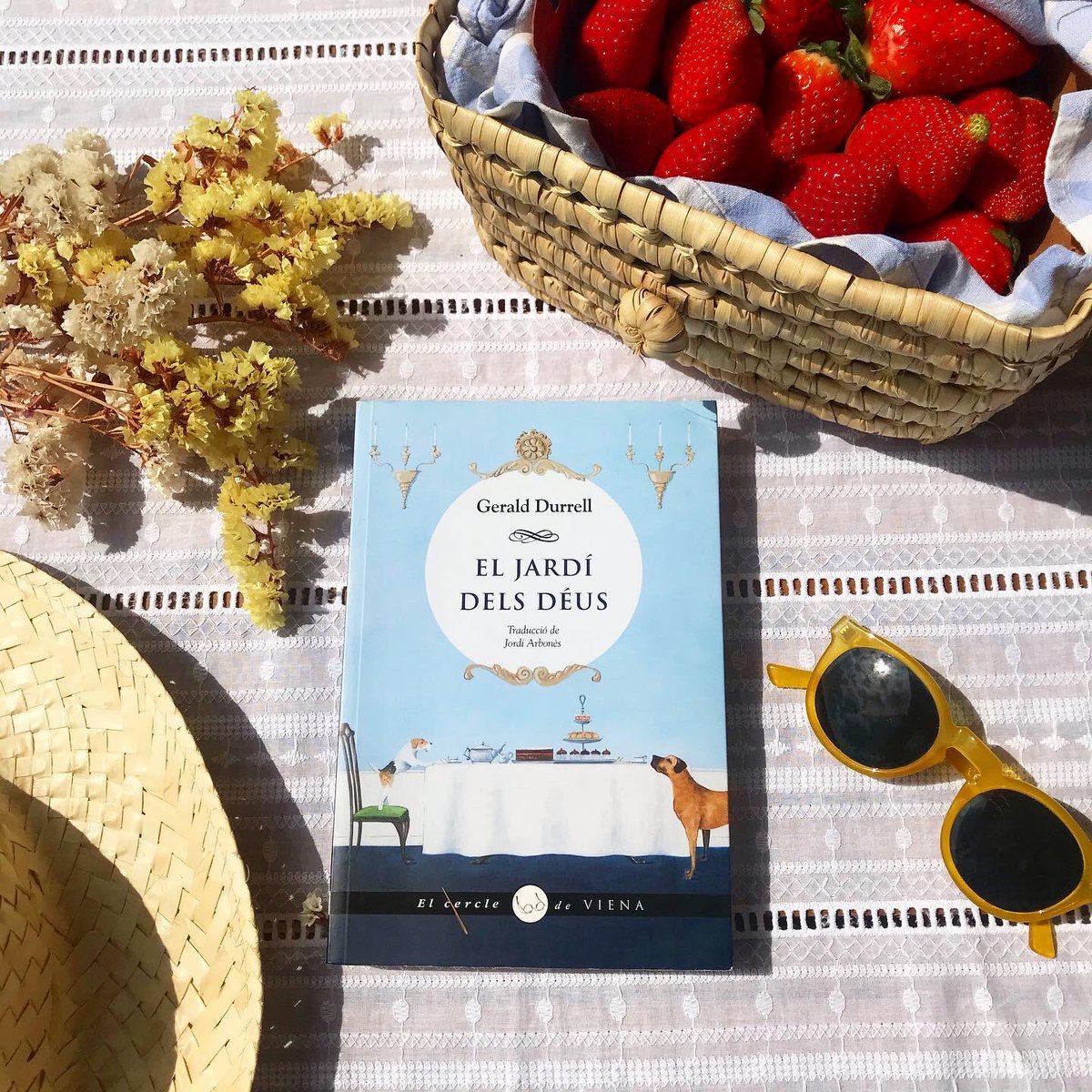 10 libros para leer este verano en la playa y no aburrirte