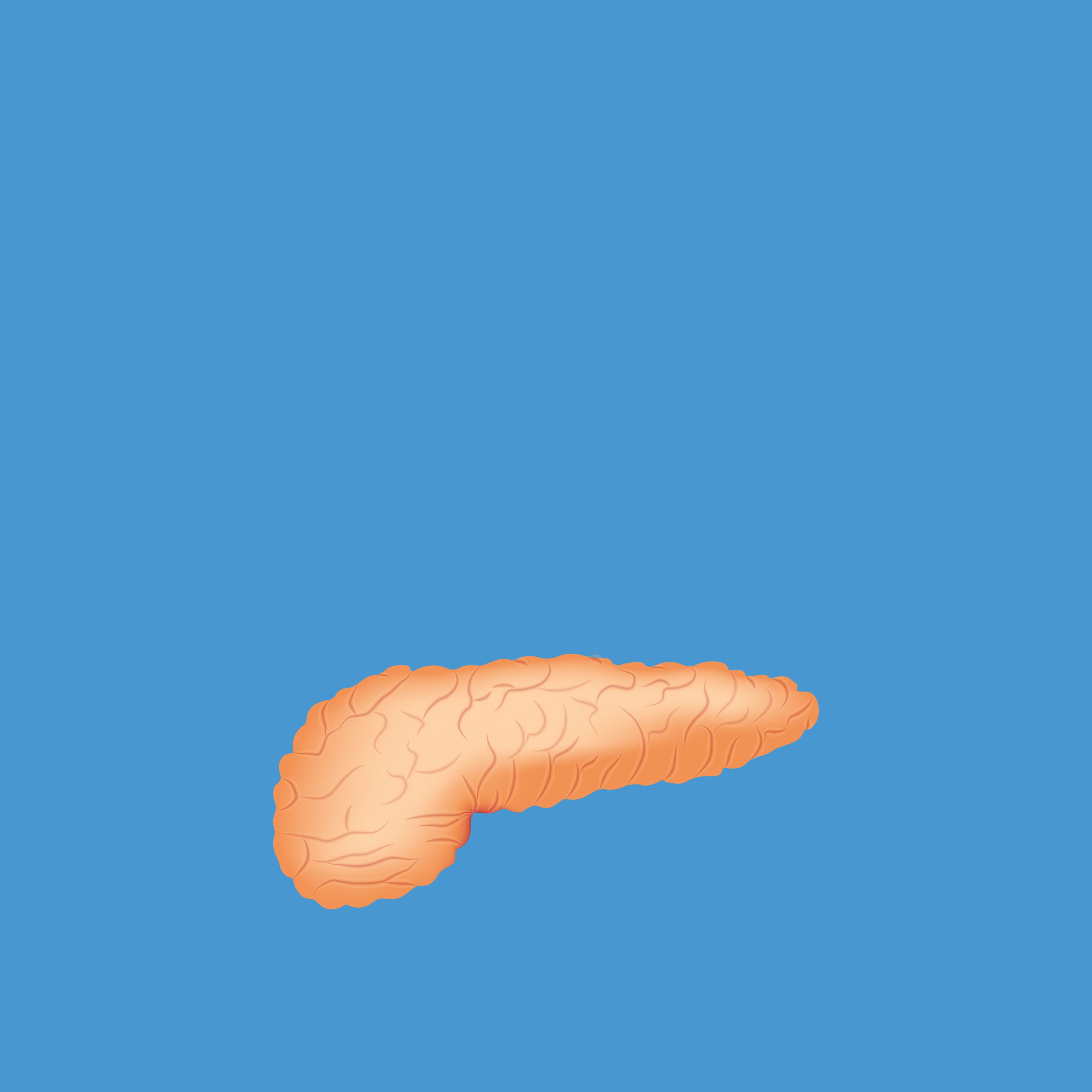 Descobreixen una proteïna que podria avançar el diagnòstic del càncer de pàncrees