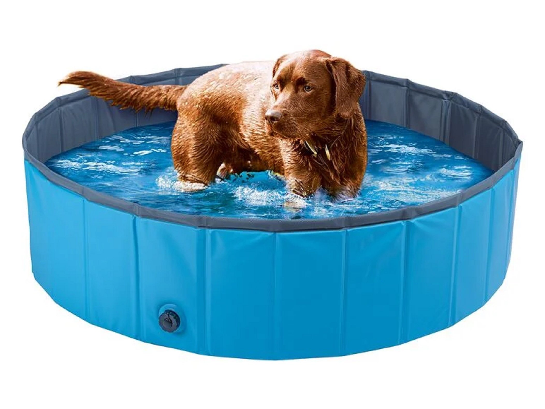 Piscina perros / Lidl