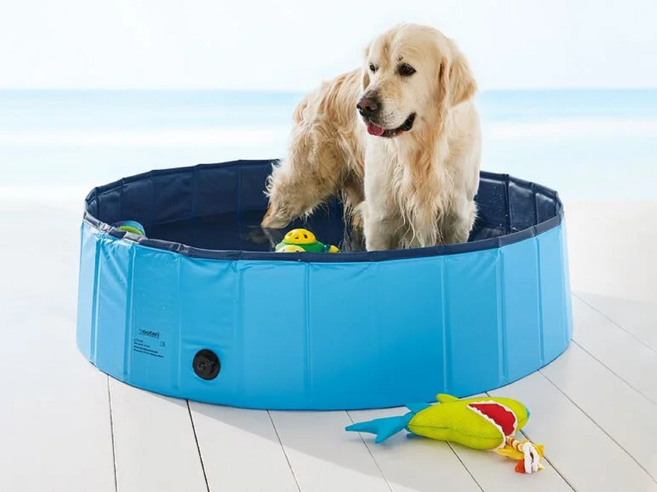 La piscina plegable per a gossos de Lidl per refrescar la teva mascota a l'estiu