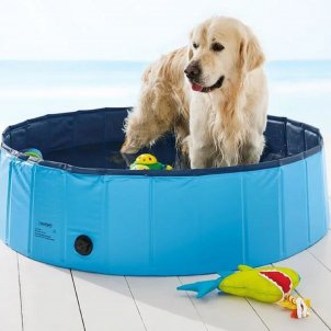 La piscina plegable para perros de Lidl para refrescar a tu mascota este  verano