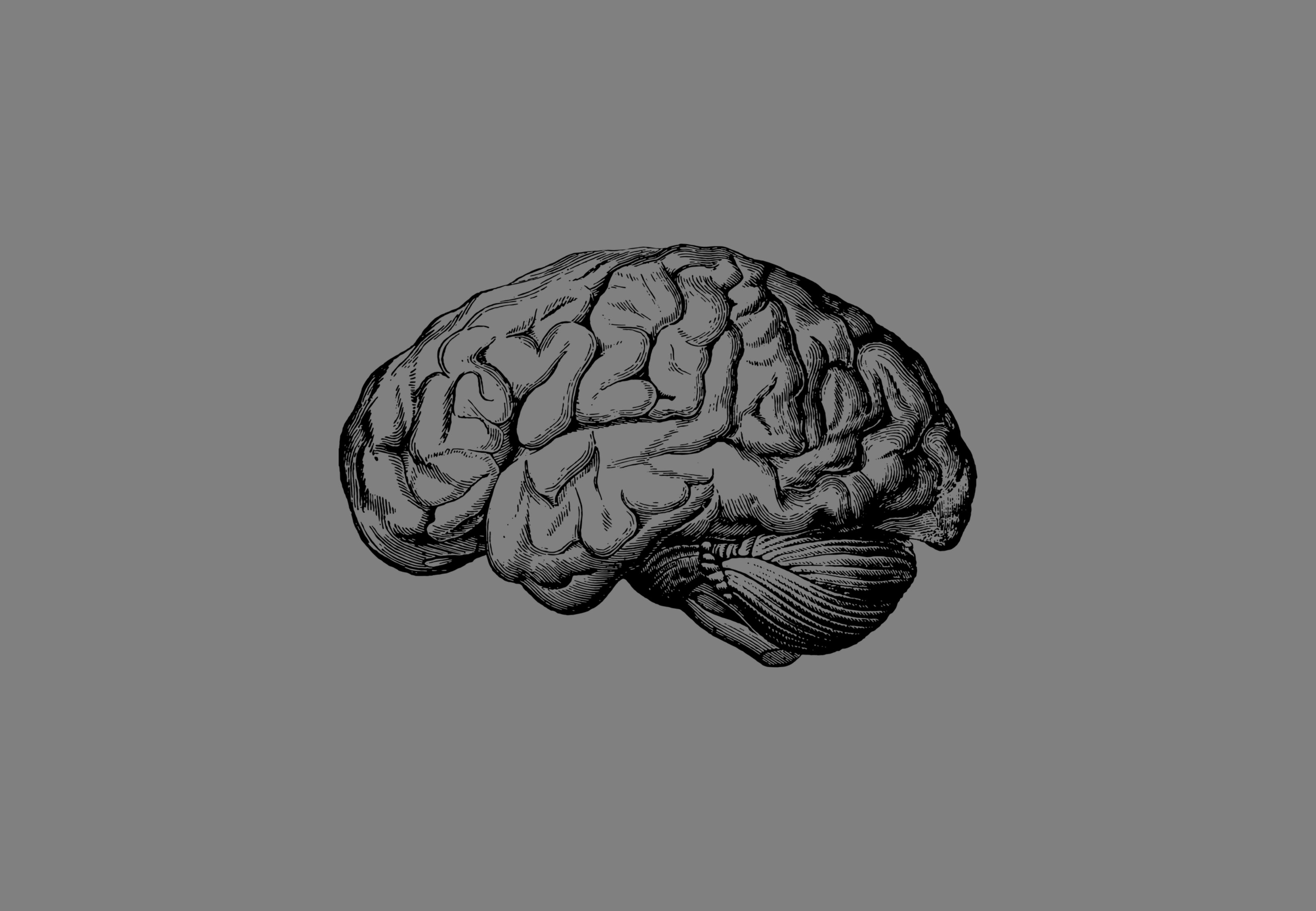 Cerebro