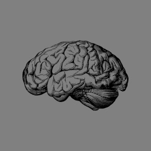Cerebro