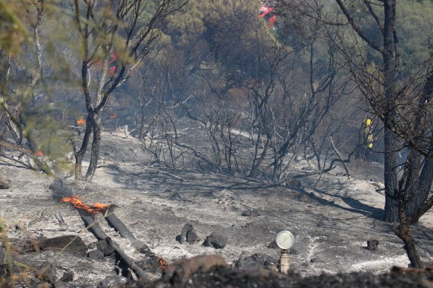 llança incendio acn