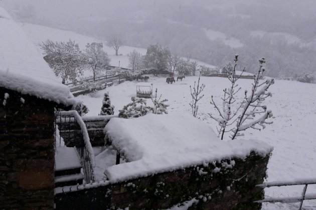 prullans neu prullans neu
