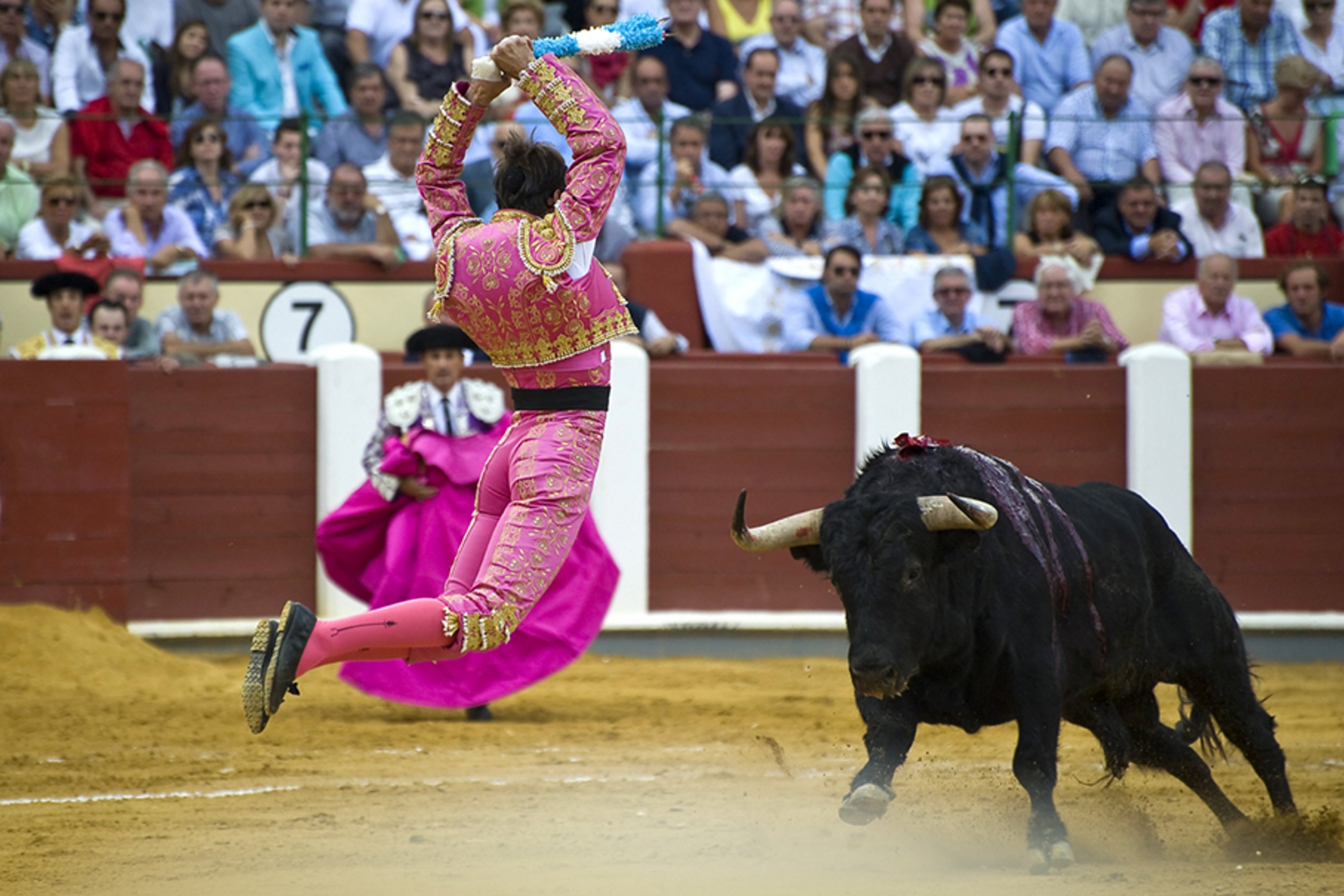 ¿Crees que el contenido taurino en la red fomenta el placer sádico?