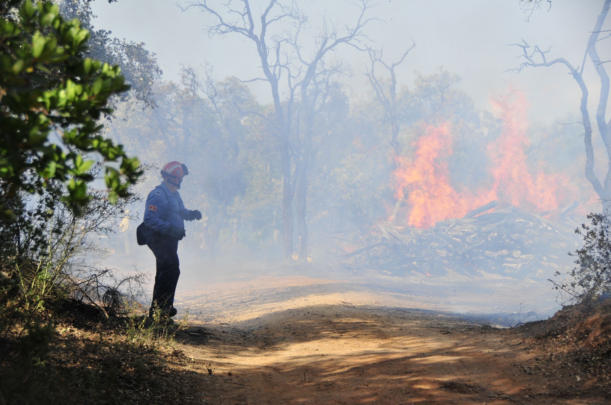 El malson dels Bombers, un gran incendi a Collserola