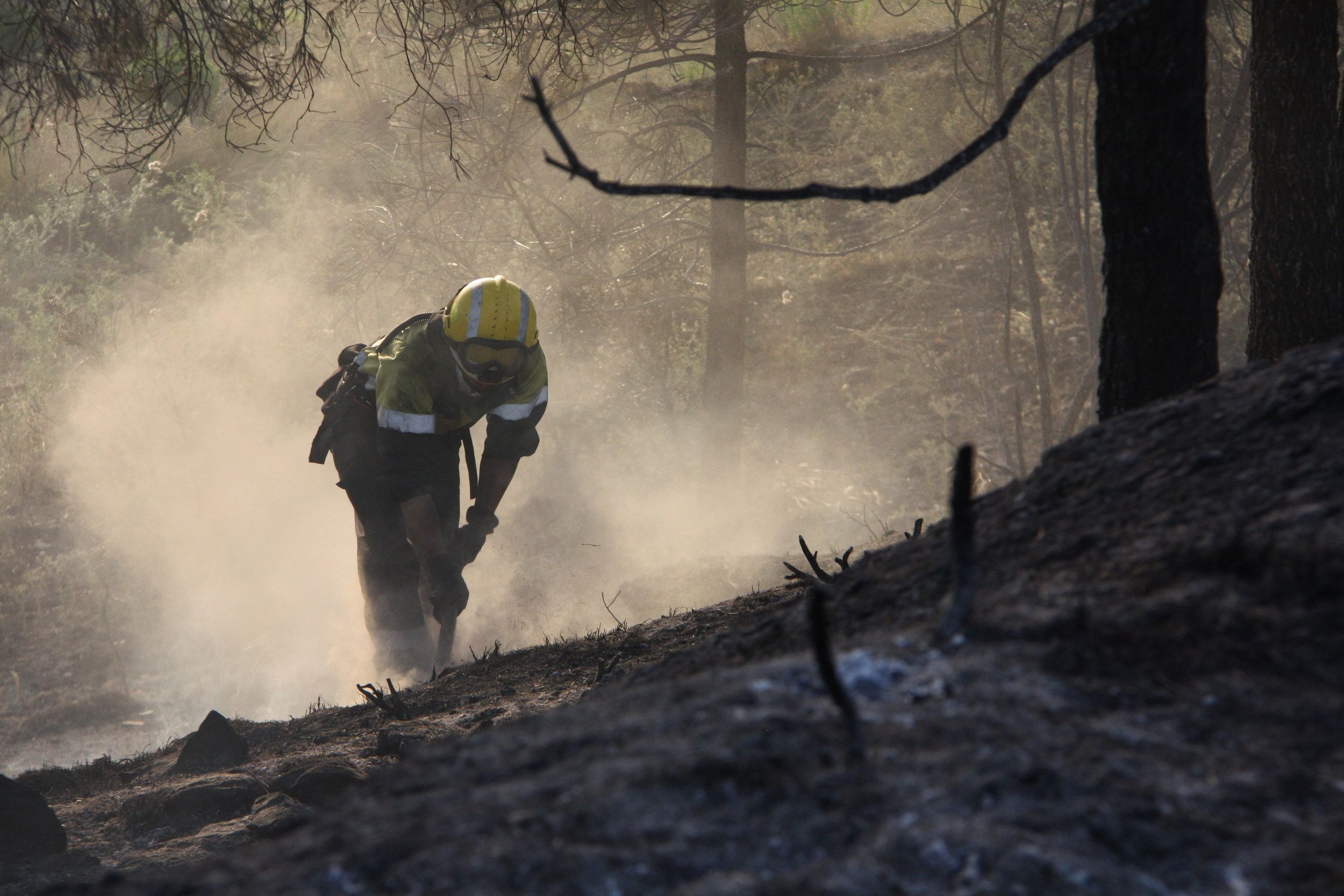 Incendi forestal Artés / ACN