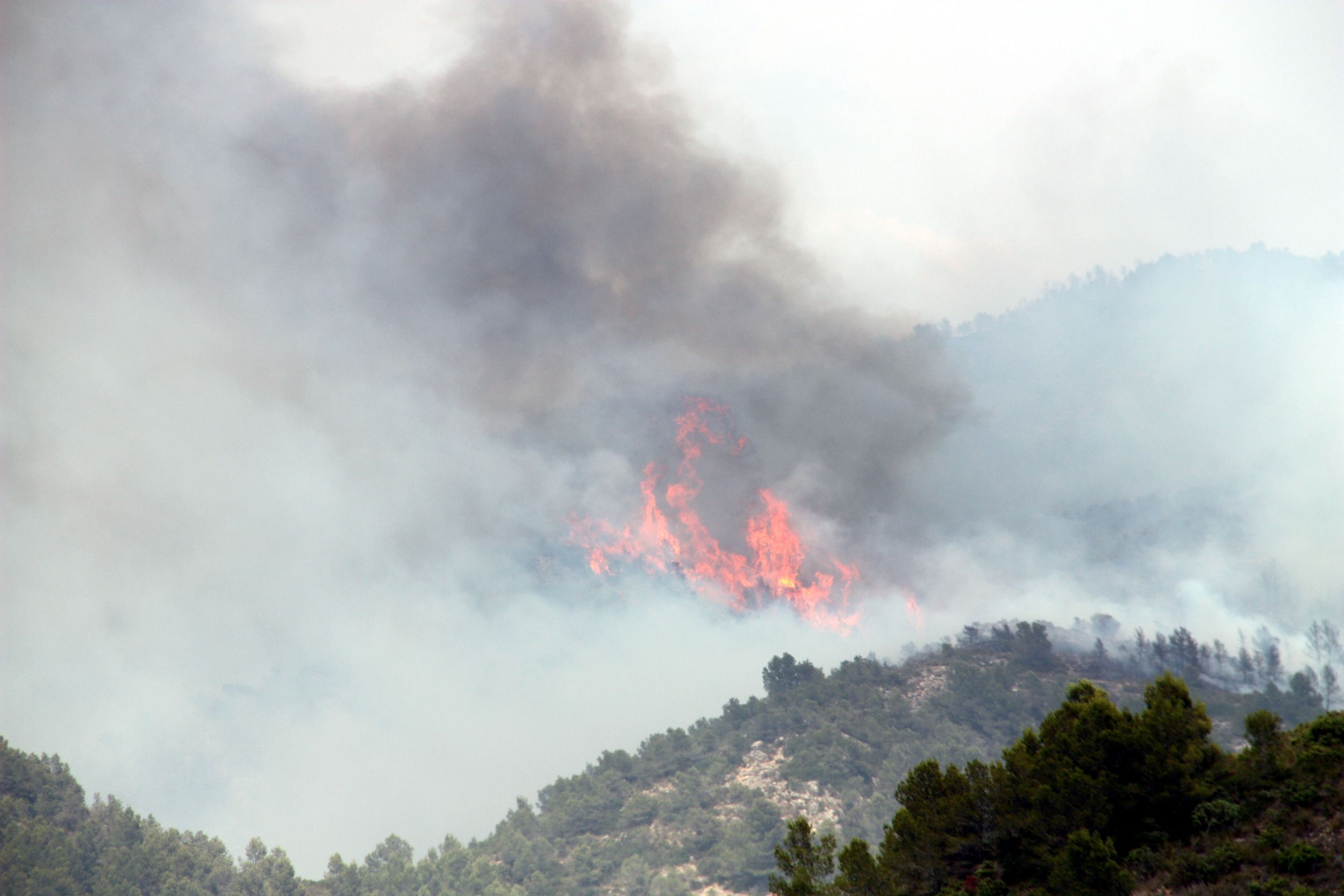 Incendi Tivissa / ACN