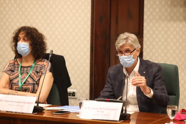 El Conseller de Salud, Josep María Argimón, comisión en el Parlament - Sergi Alcàzar