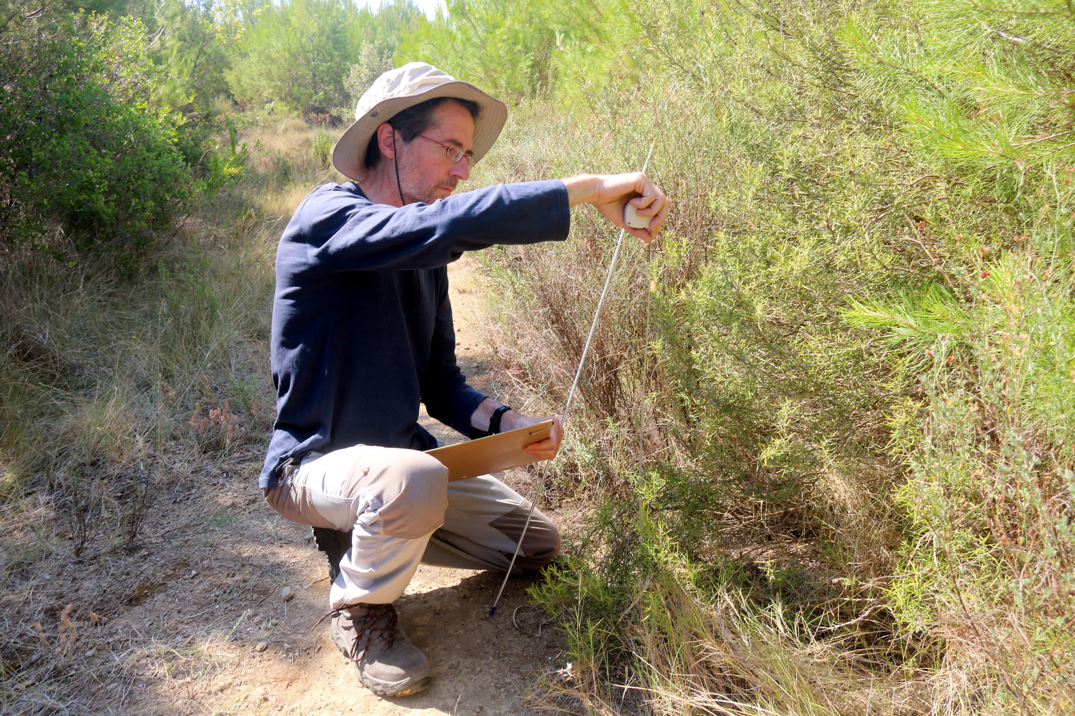 investigadores bosques quemados ACN