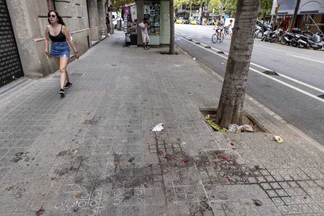 Eixample basura suciedad en Barcelona - Sergi Alcazar
