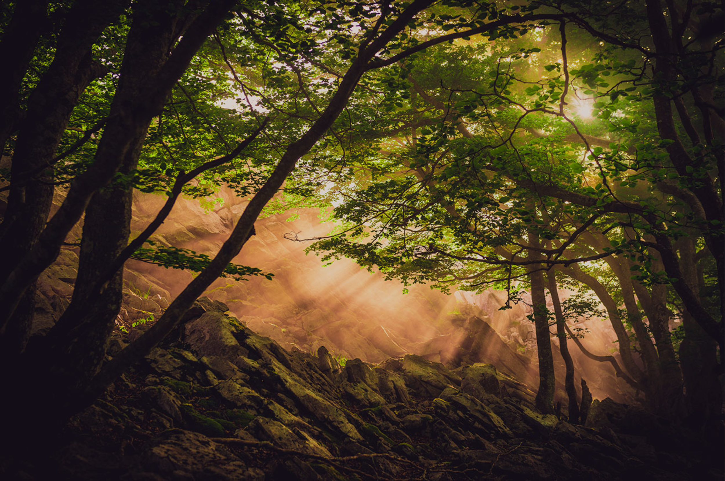 ¿Los vascos crearon el Libro del Génesis antes que Moisés?