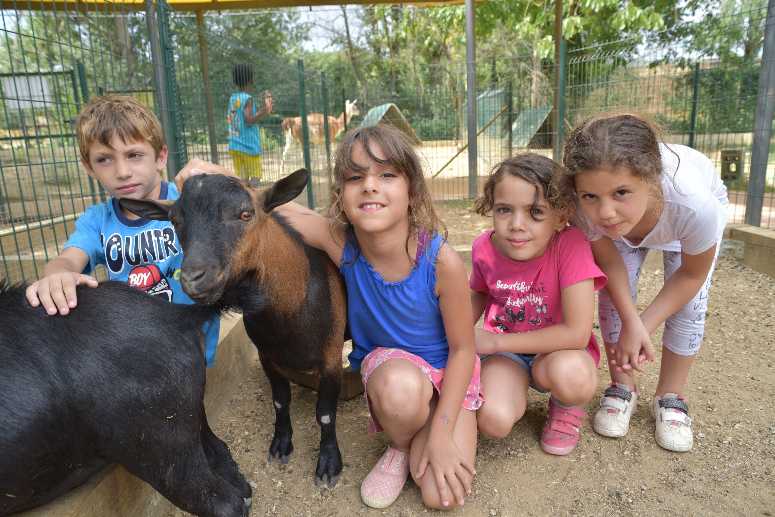 Campamentos Fundación La Caixa (4) Campamentos Fundación La Caixa (4)