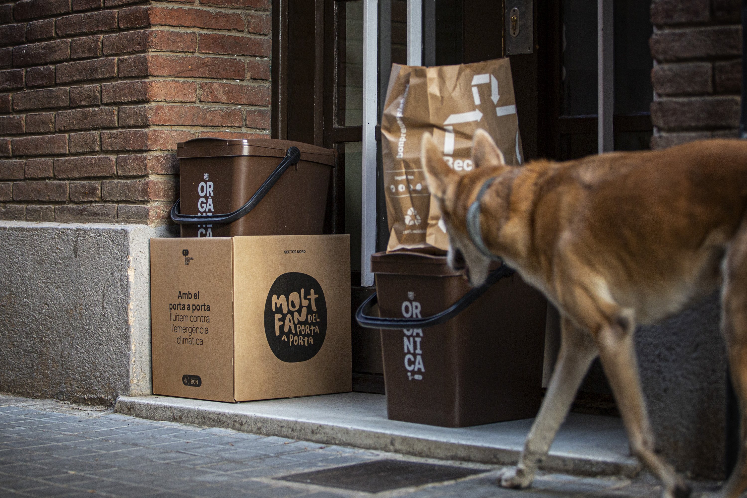 Les escombraries orgàniques atreuen els animals
