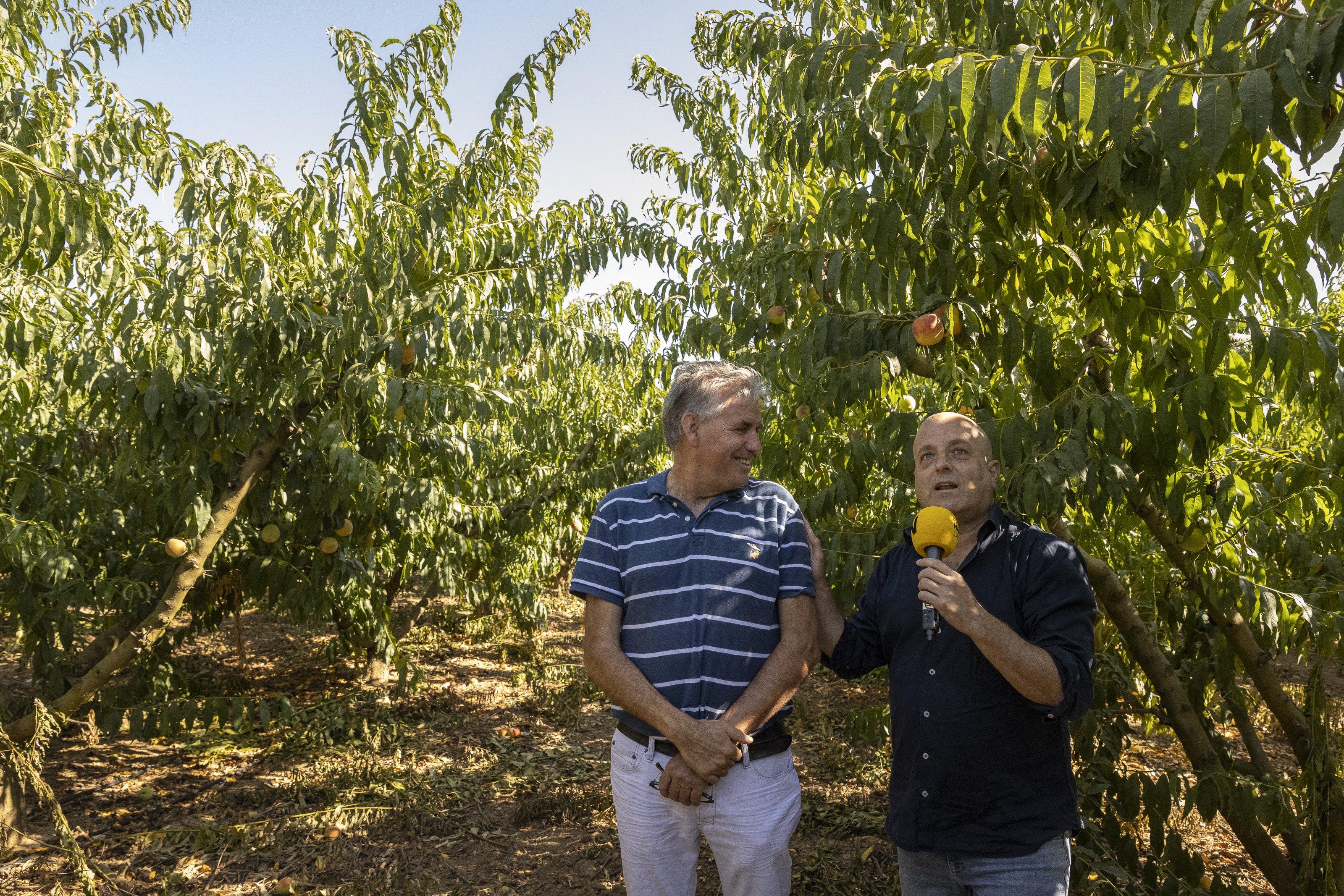 Casa Almendro melocotones Jordi Ametller Xavi Freixes - Sergi Alcàzar