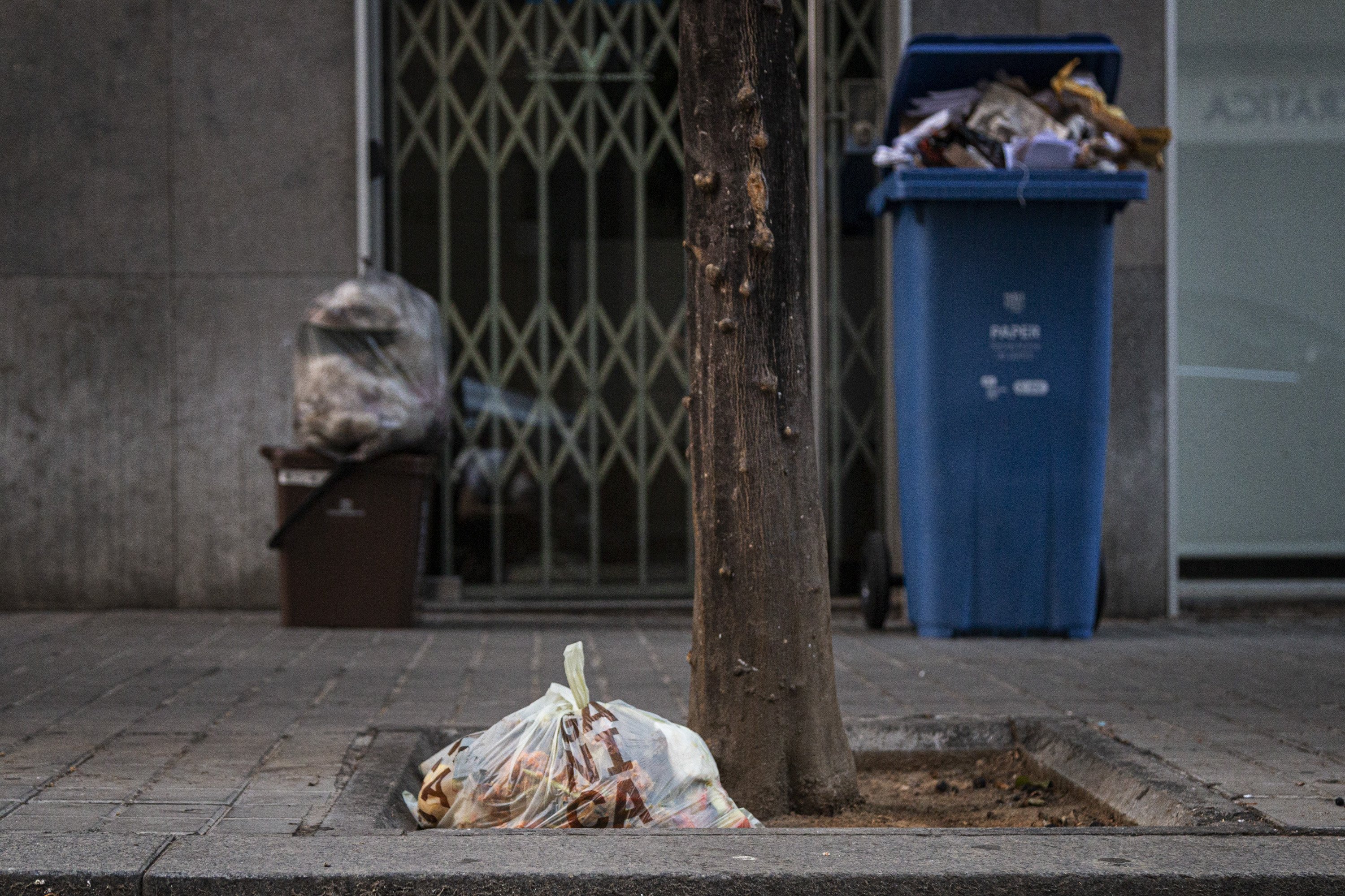 Bossa de brossa orgànica deixada a l'escocell d'un arbre