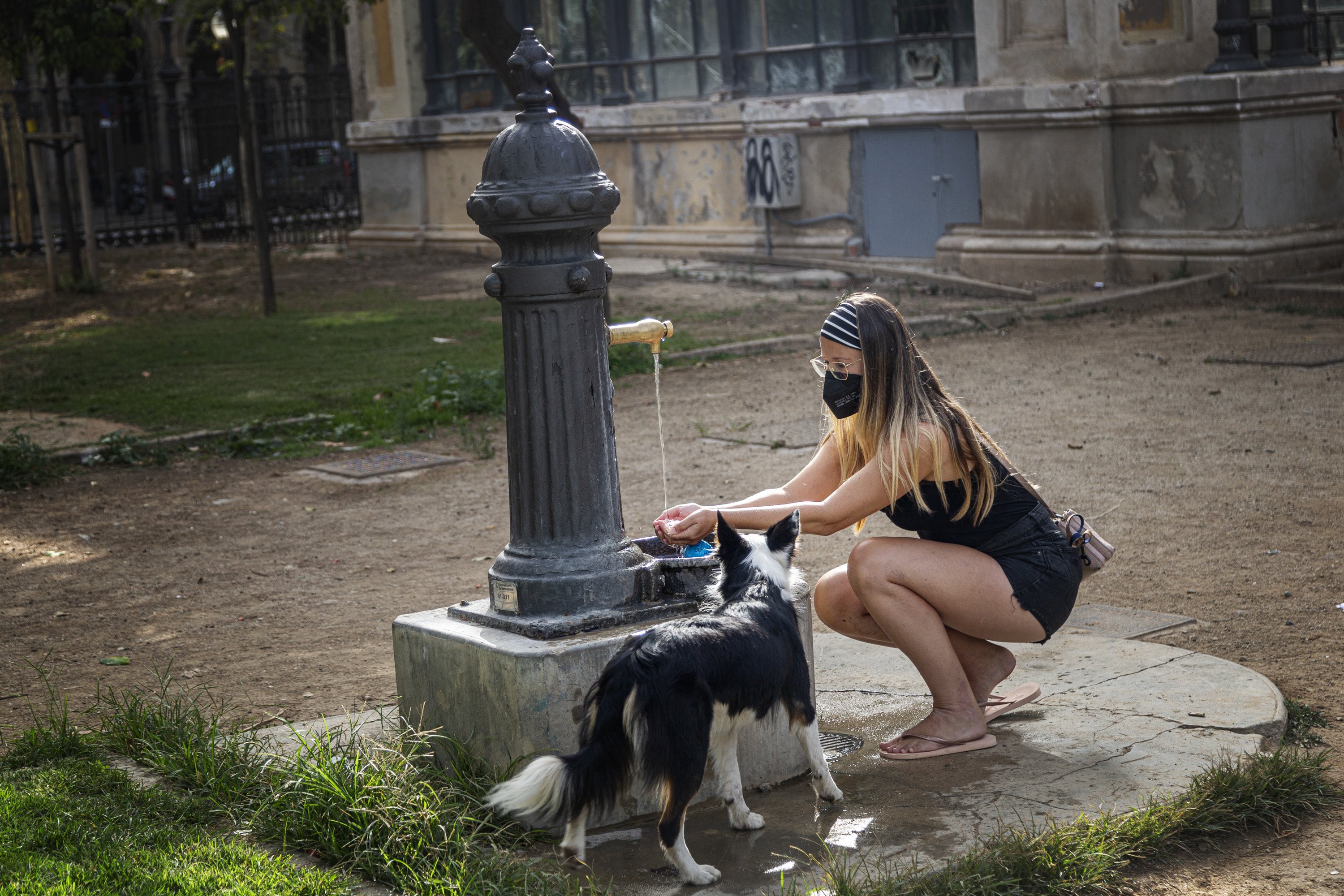 OLA DE CALOR ANIMALES Mujer en una fuente dando de beber a su perro - Montse Giralt OLA DE CALOR ANIMALES Mujer en una fuente dando de beber a su perro - Montse Giralt