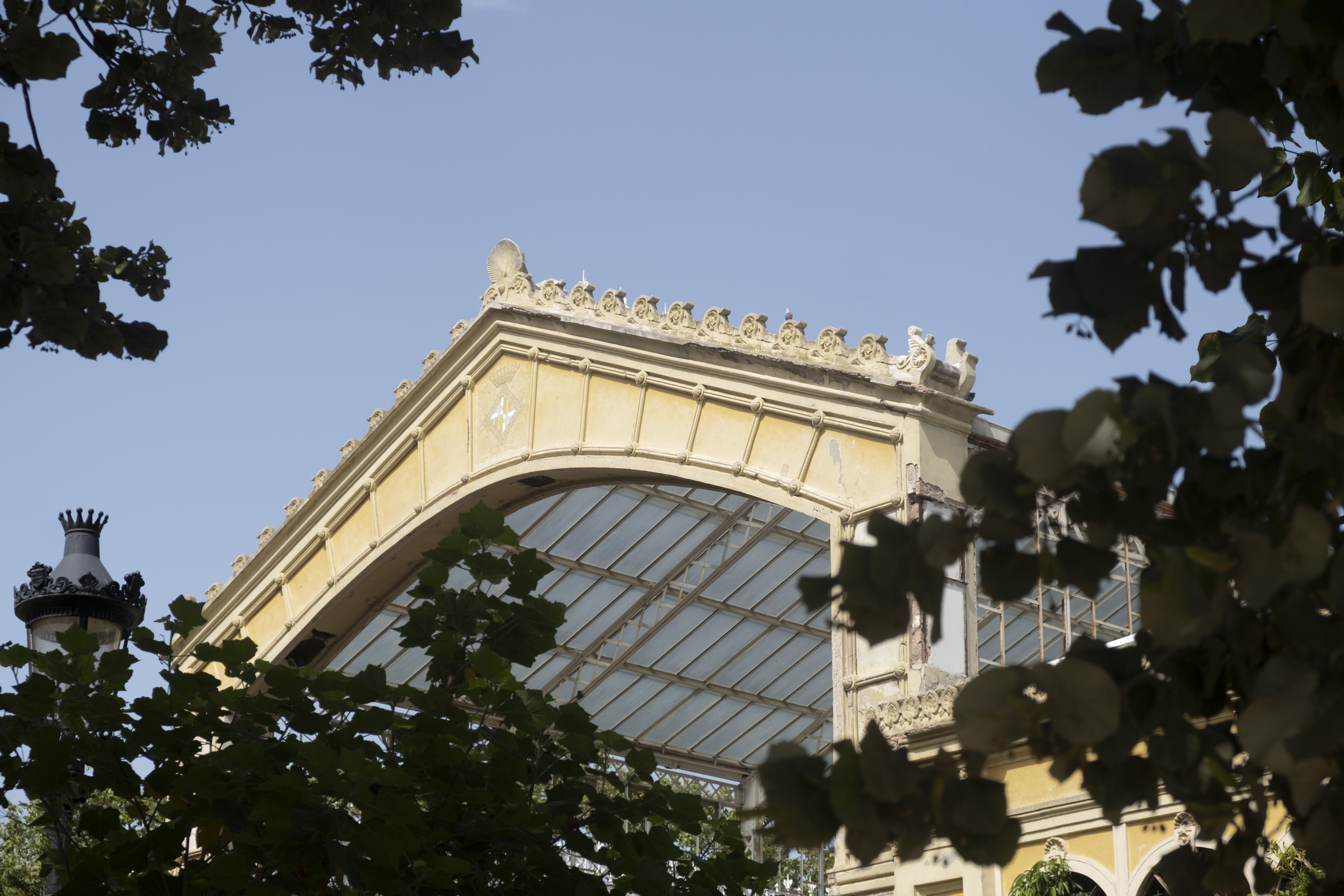 El Hivernacle y el palacio del parque del Laberint se rehabilitarán en verano