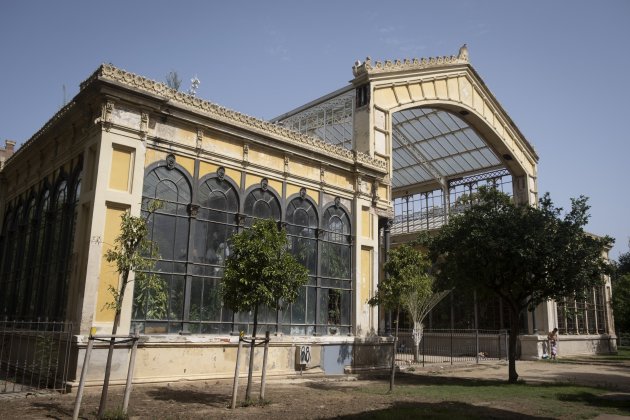 Hivernacle i Umbracle a la ciutadella - Carlos Baglietto Hivernacle i Umbracle a la ciutadella - Carlos Baglietto