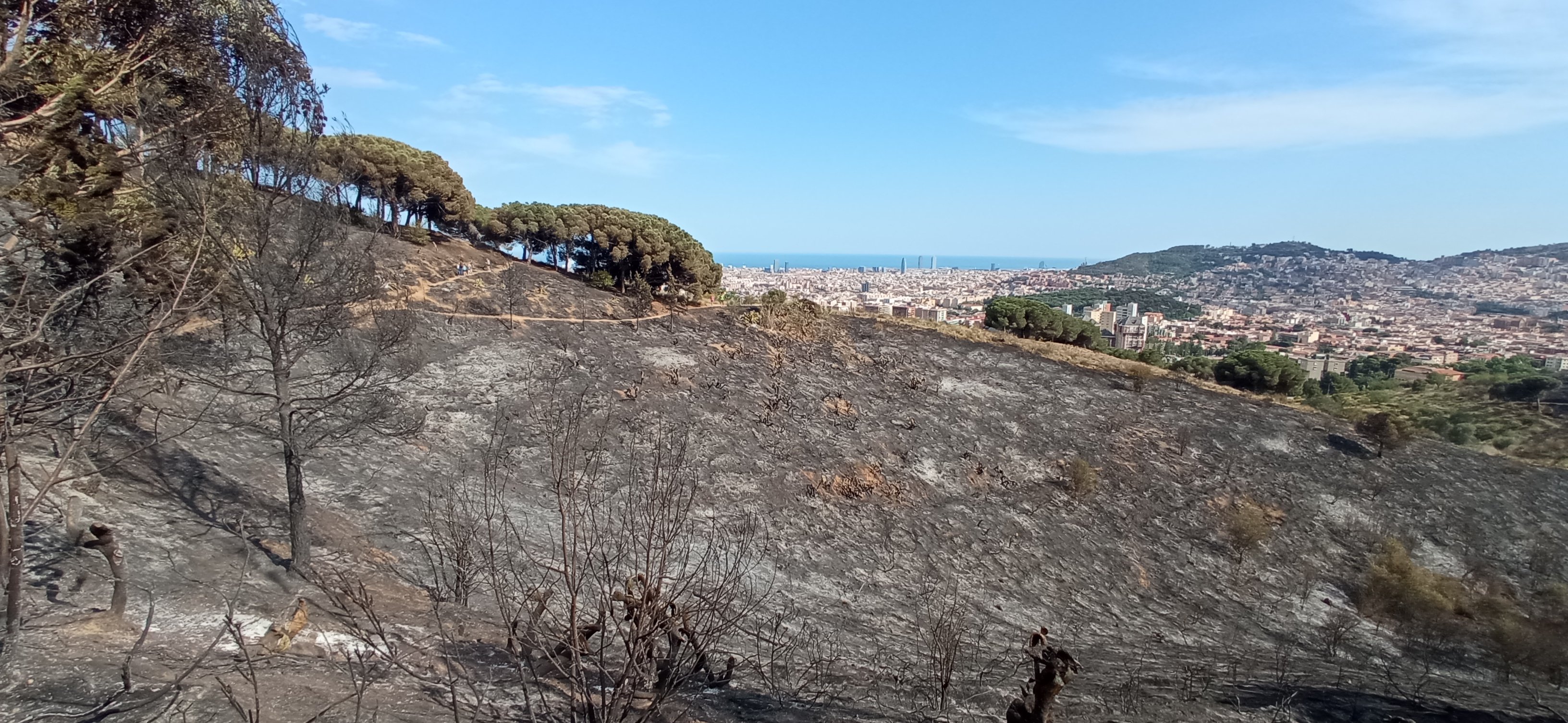 Barcelona demana no anar a Collserola, però no tanca el Parc Natural