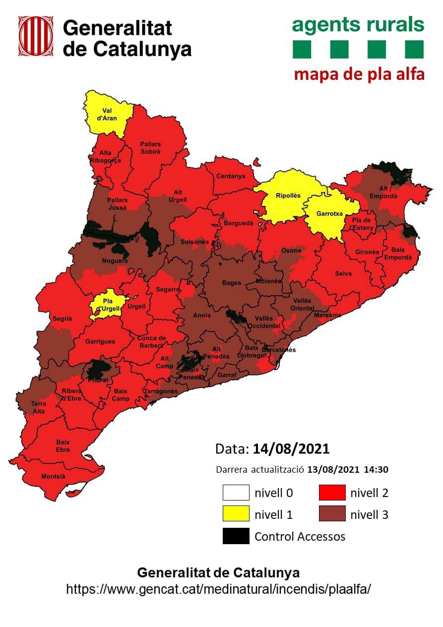 plan|plano alfa 14 agosto 2021