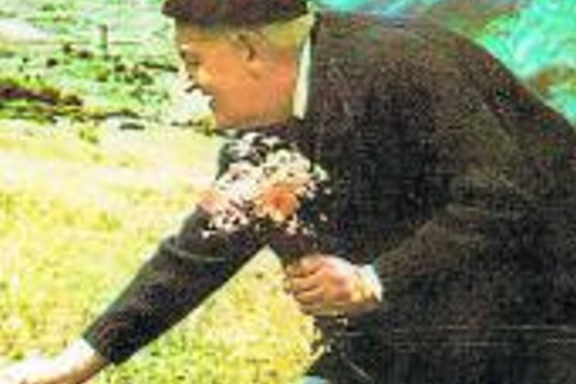 Sagarra collint flors a Espot