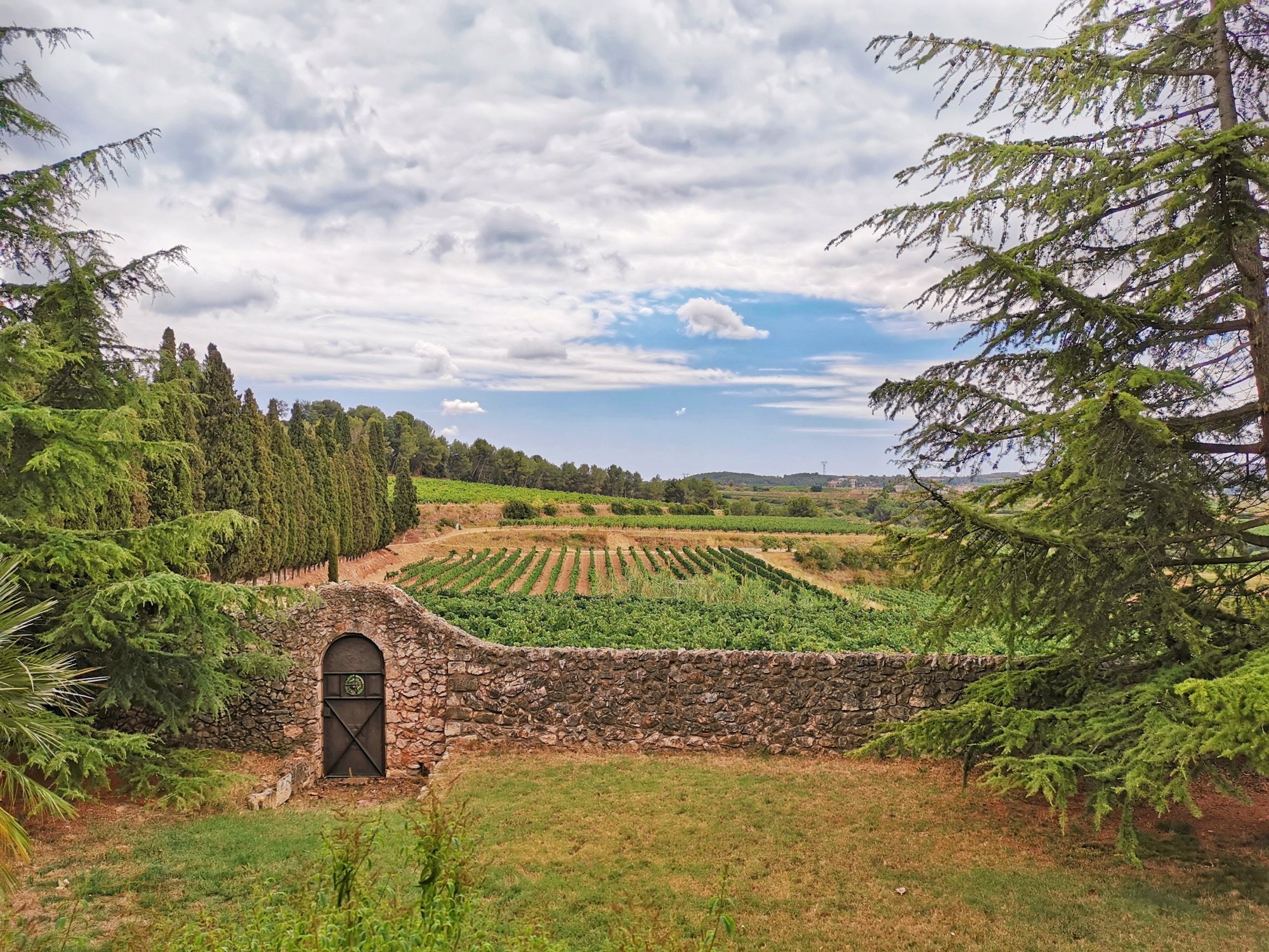 Albet i Noya: el wine bar de novel·la amagat al Penedès