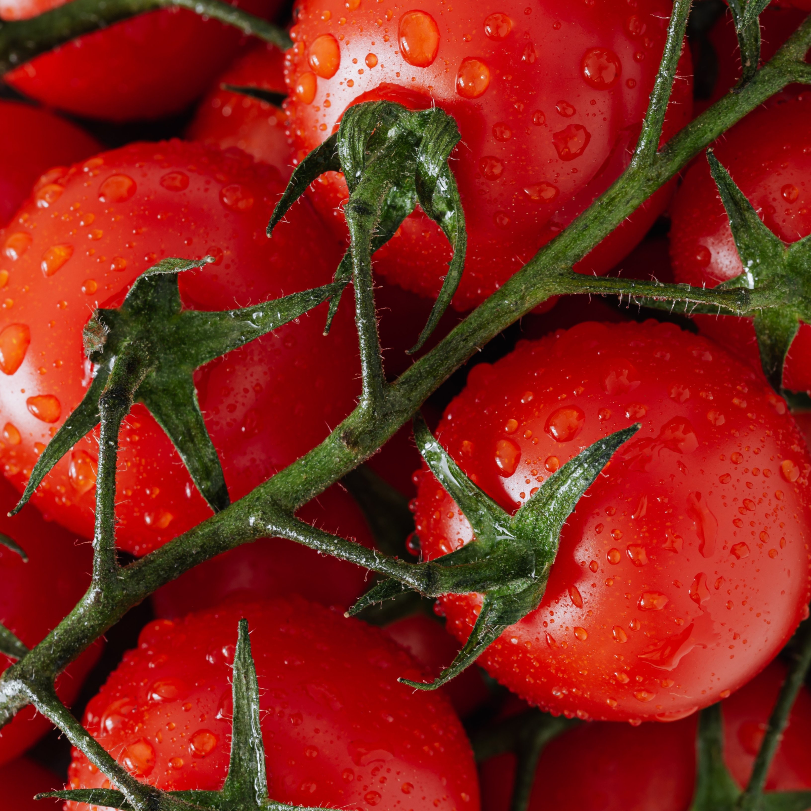 Así puede mejorar nuestra salud con simples cambios en la dieta