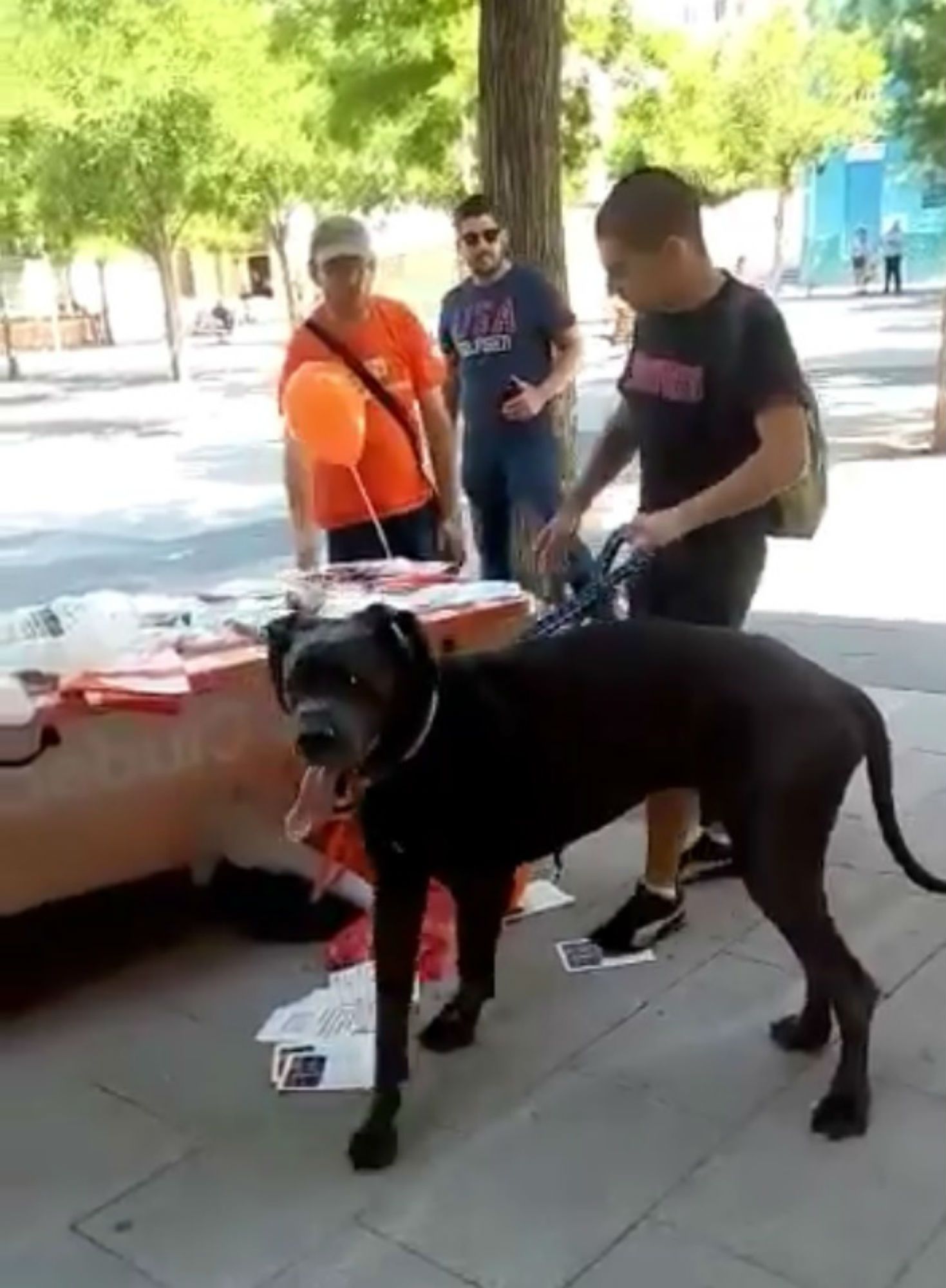 Agredeixen una taula de C's a Vallecas cridant "nazis de merda"