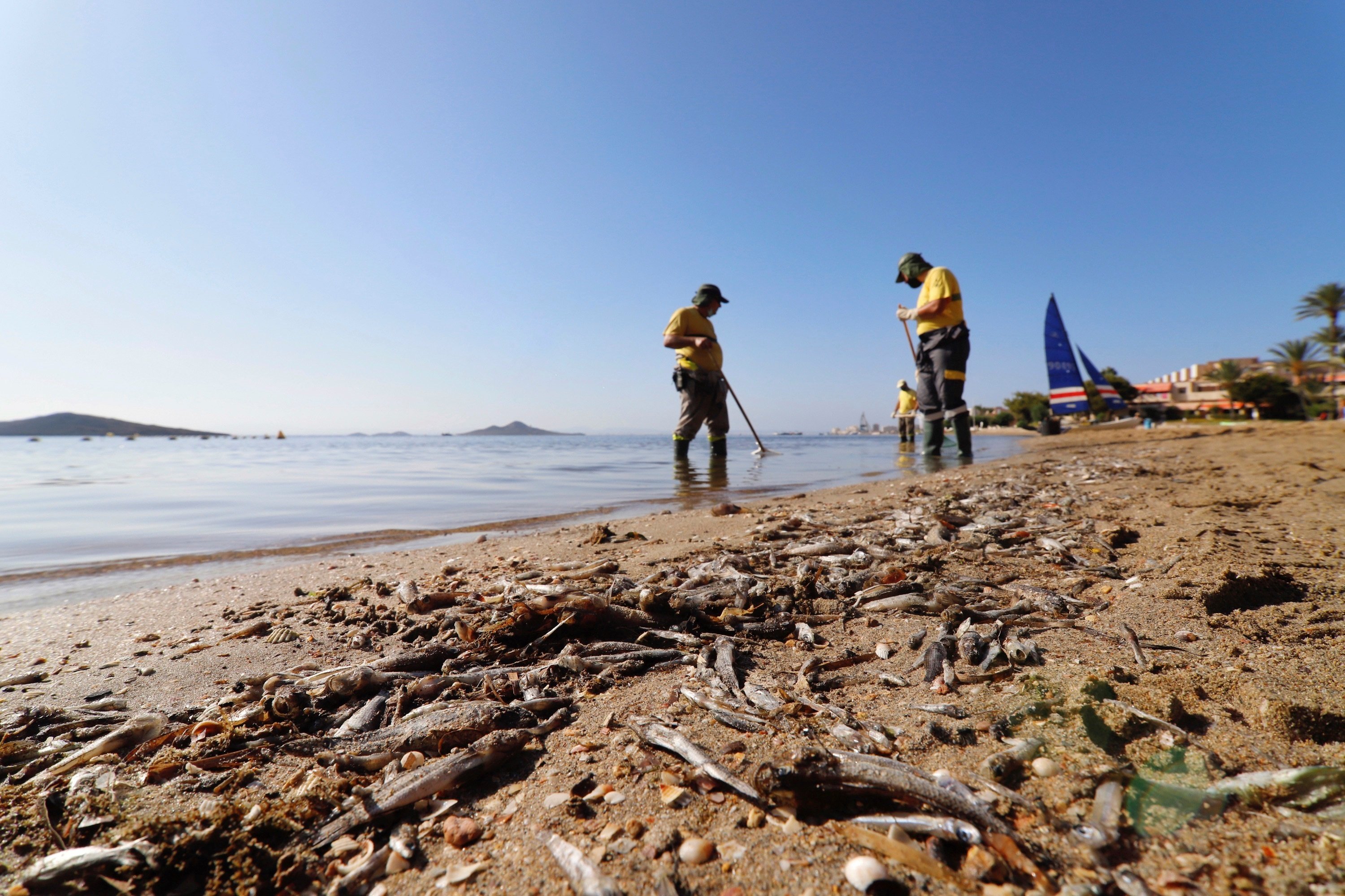 Crisis climática en Murcia: ¿Qué está pasando en el mar Menor?