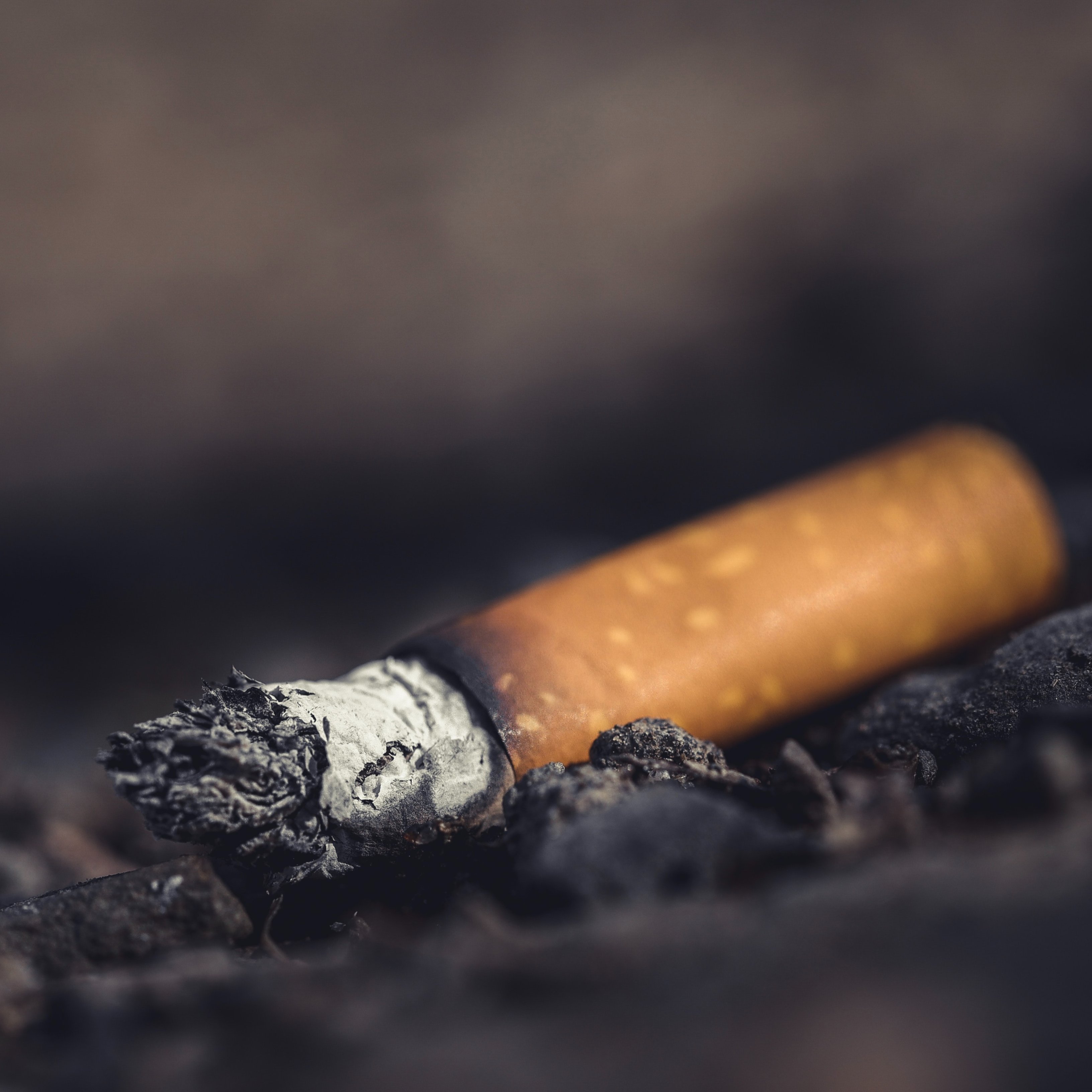 Un estudio en Barcelona muestra cómo se envejece por el humo del tabaco