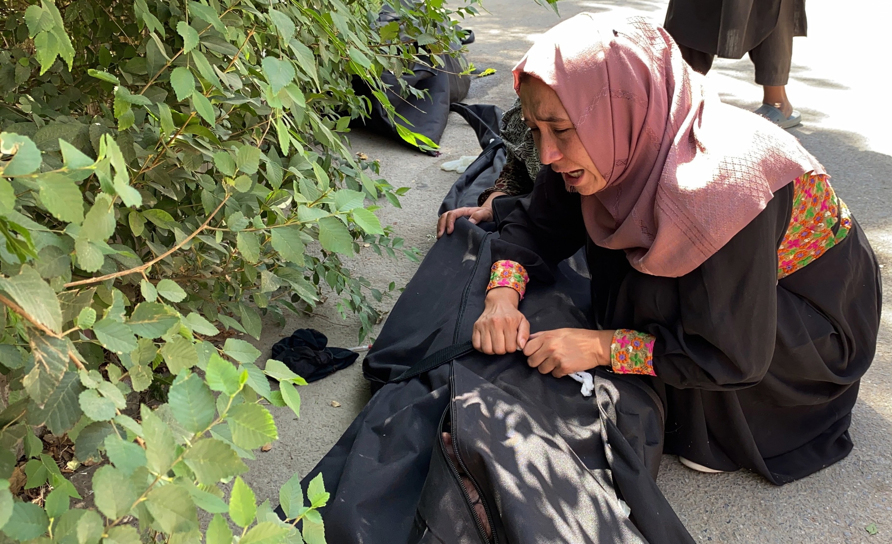 La foto de la semana